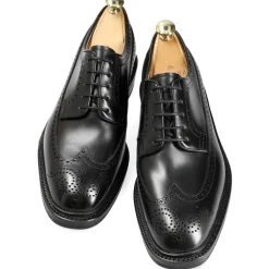 ZAPATOS BLUCHER EDICIÓN LIMITADA 532 DETROIT